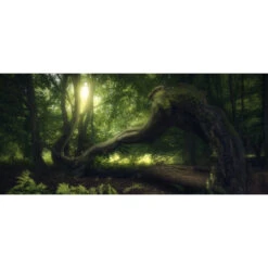 N3 Deskmat: Senescent Tree (35" X 15")