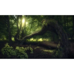 N3 Playmat: Senescent Tree (24" X 14")