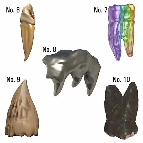 D&D Icons Of The Realms: Teeth Of Dahlver-Nar - Bite-sized Artifacts 6 D&D Icons Of The Realms: Teeth Of Dahlver-Nar - Bite-sized Artifacts - Image 4