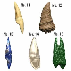 D&D Icons Of The Realms: Teeth Of Dahlver-Nar - Bite-sized Artifacts 12 D&D Icons Of The Realms: Teeth Of Dahlver-Nar - Bite-sized Artifacts -Gamegenic Store wzk96122 4